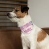 Birthday Girl With Confetti On Pink Pet Bandana Collar