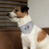 Don&#39;t Dog Me Out because...I&#39;m the birthday boy on Pet Bandana Collar