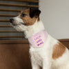 Keep Calm and Wag On Pink Pet Bandana Collar