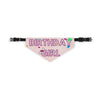 Birthday Girl With Confetti On Pink Pet Bandana Collar