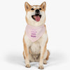 Keep Calm and Wag On Pink Pet Bandana Collar